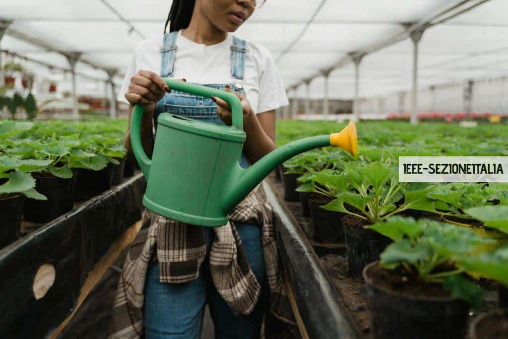 A Girl Watering The Plants